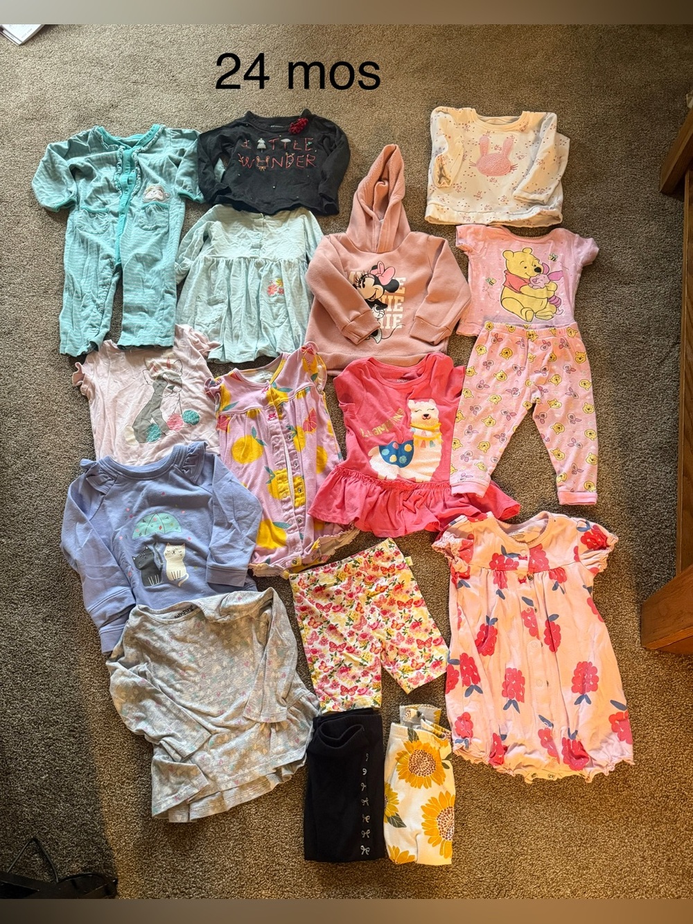 Toddler Girls Mix 'n' Match Clothing Lot - 24 mos